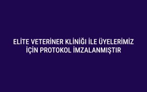 Elite Veteriner Kliniği